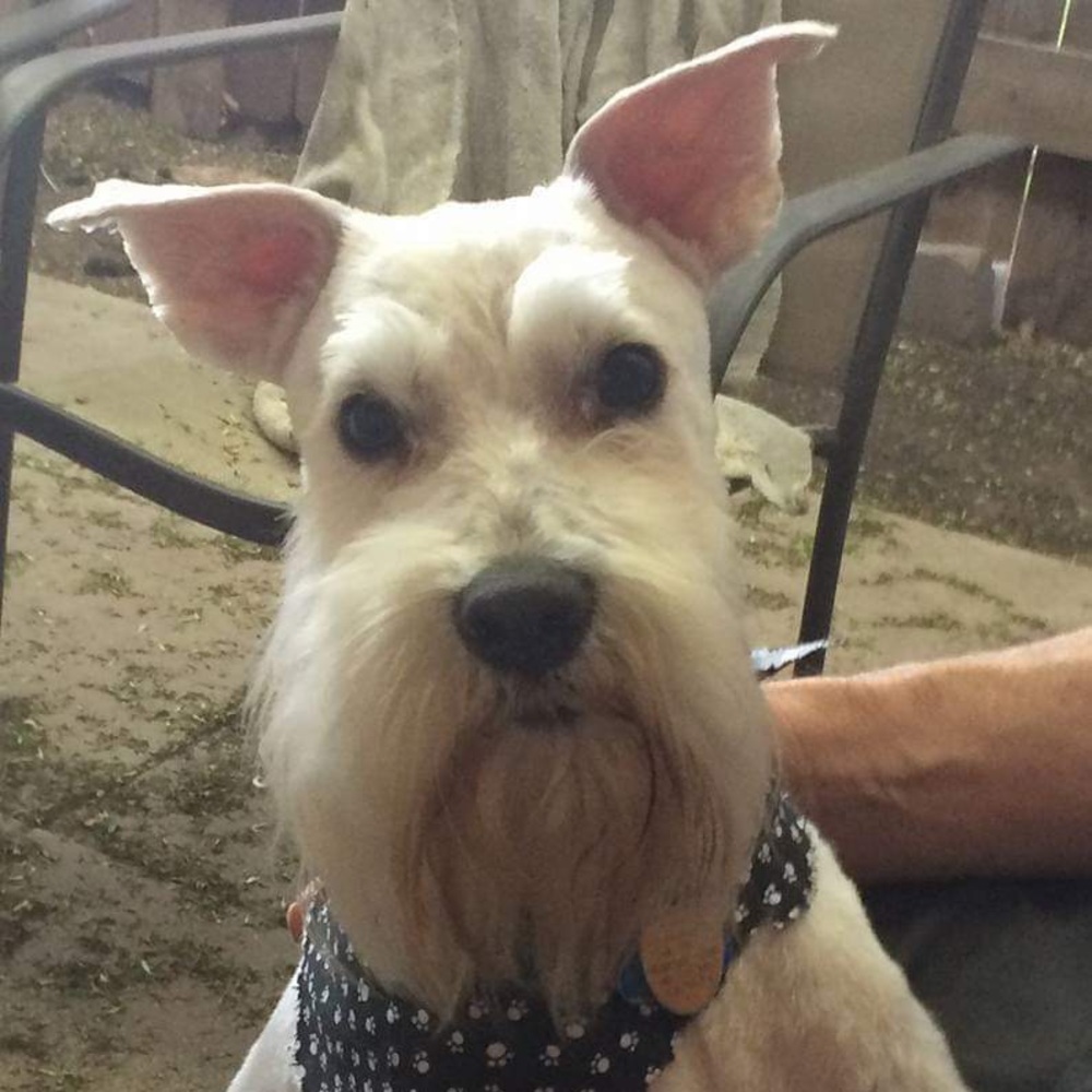 Meet your Posher, Vonnie